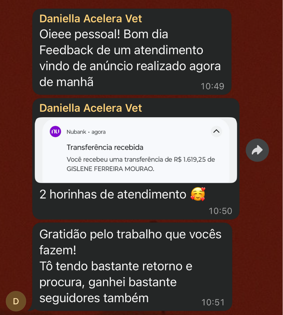 Mensagem da veterinária Daniella contando que um atendimento vindo de anúncio rendeu duas horas de atendimento e novos seguidores